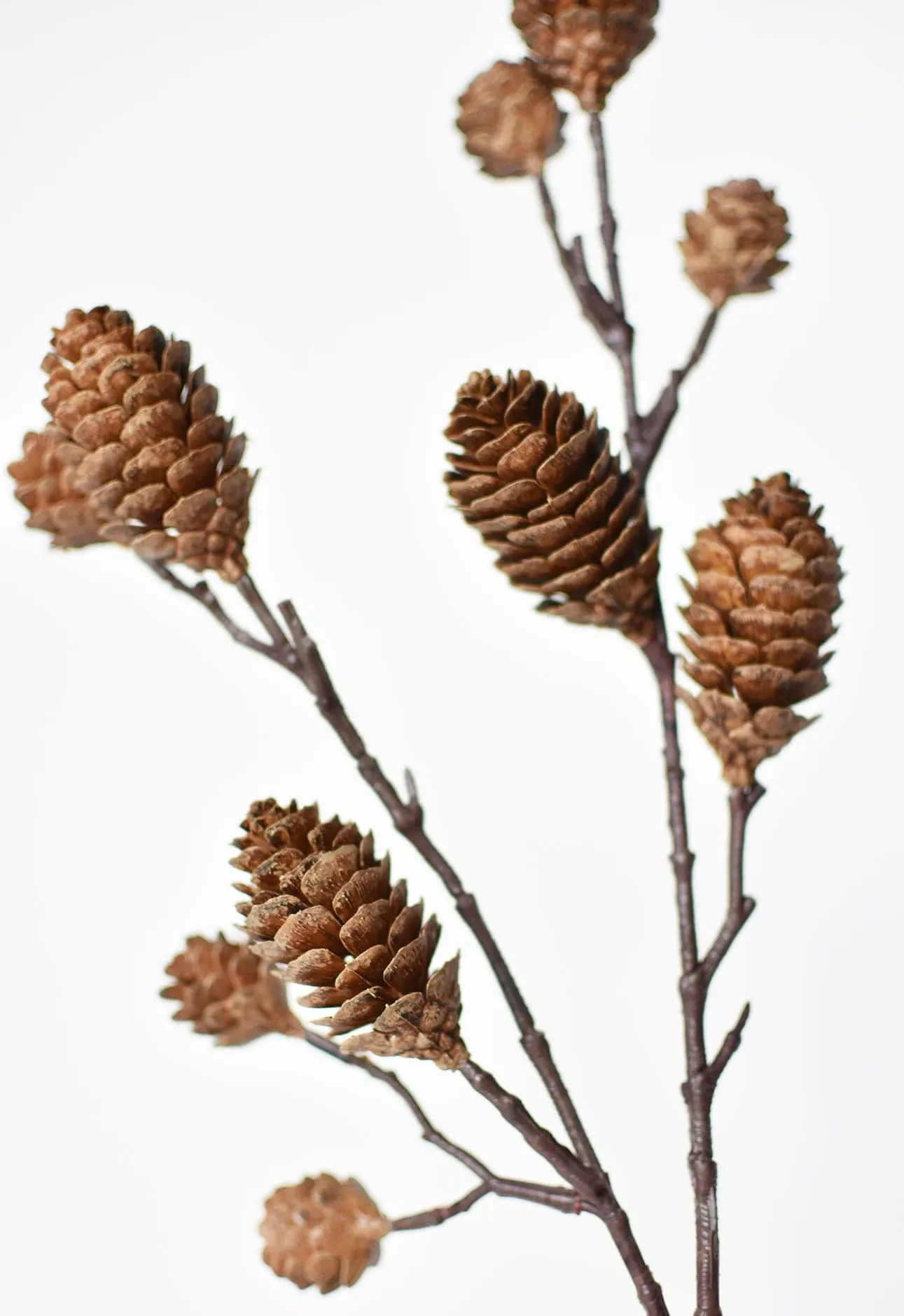 28" Faux Pinecone Branch Stem