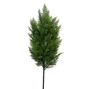 Arborvitae Branch - 33"L