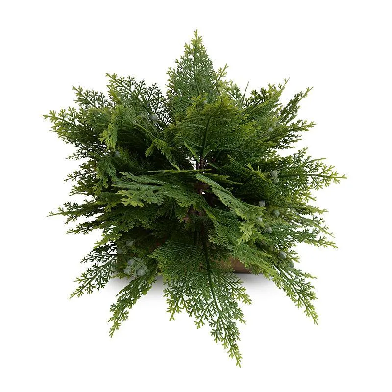 Arborvitae Branch - 33"L