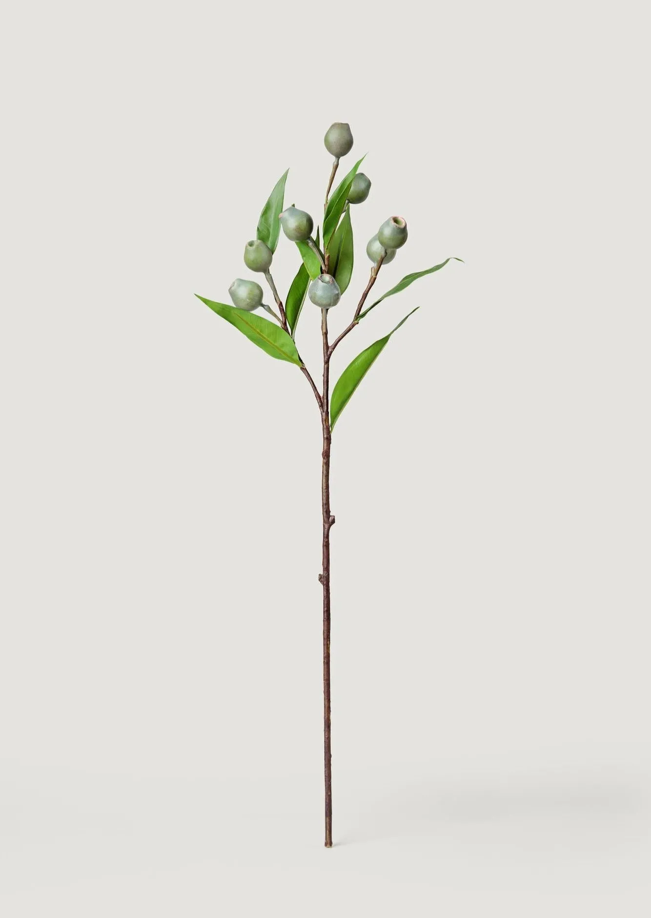 Artificial Eucalyptus Pod Branch - 24"