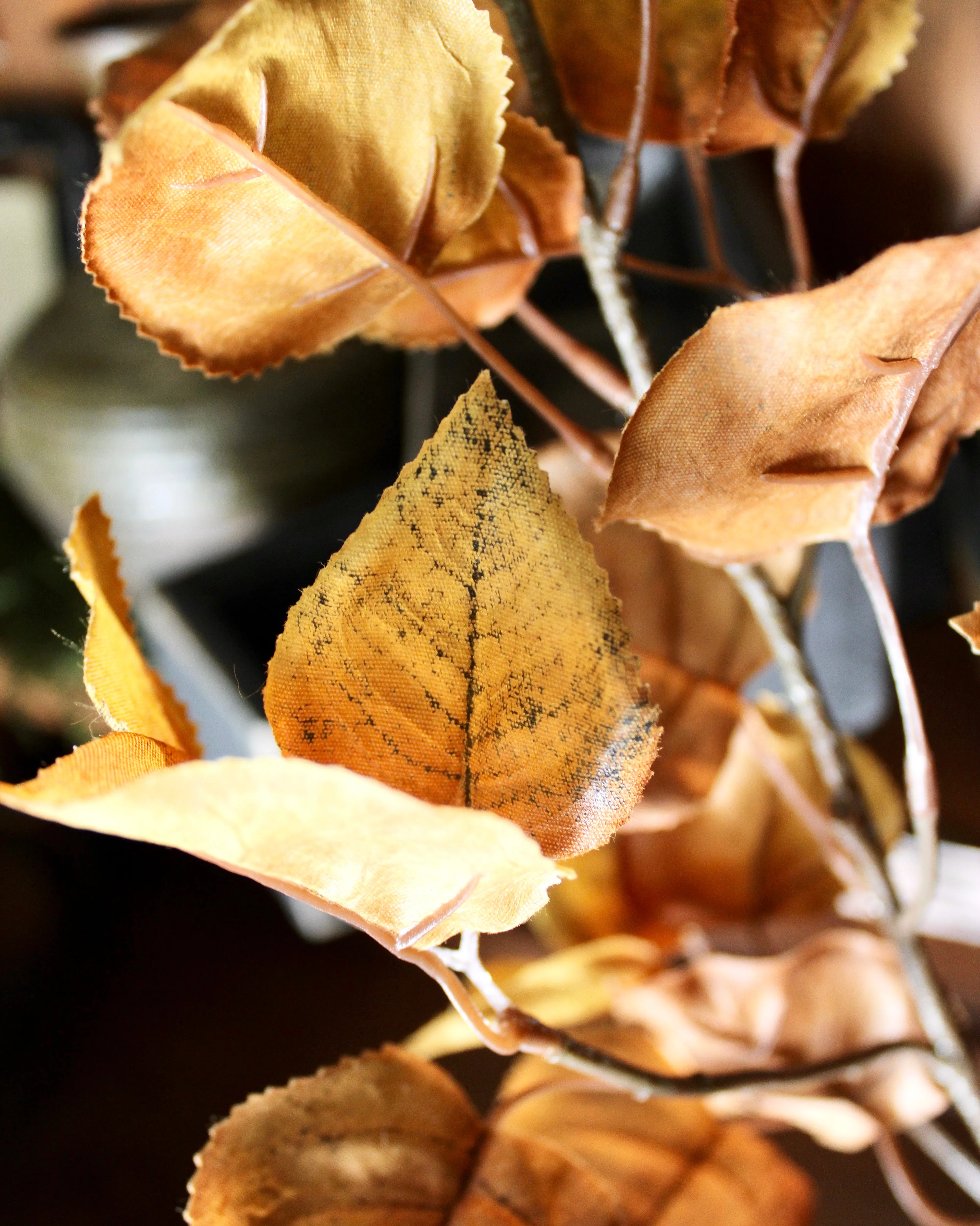 Beech Leaf Branch