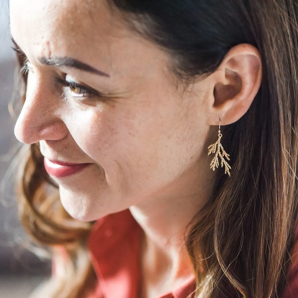 Cedar Earrings ~ Gold