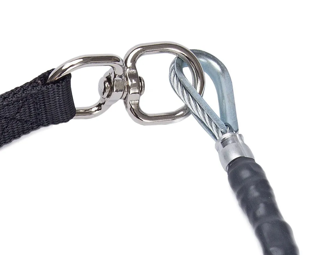 CHEW-PROOF® LEASH-HEAVY DUTY