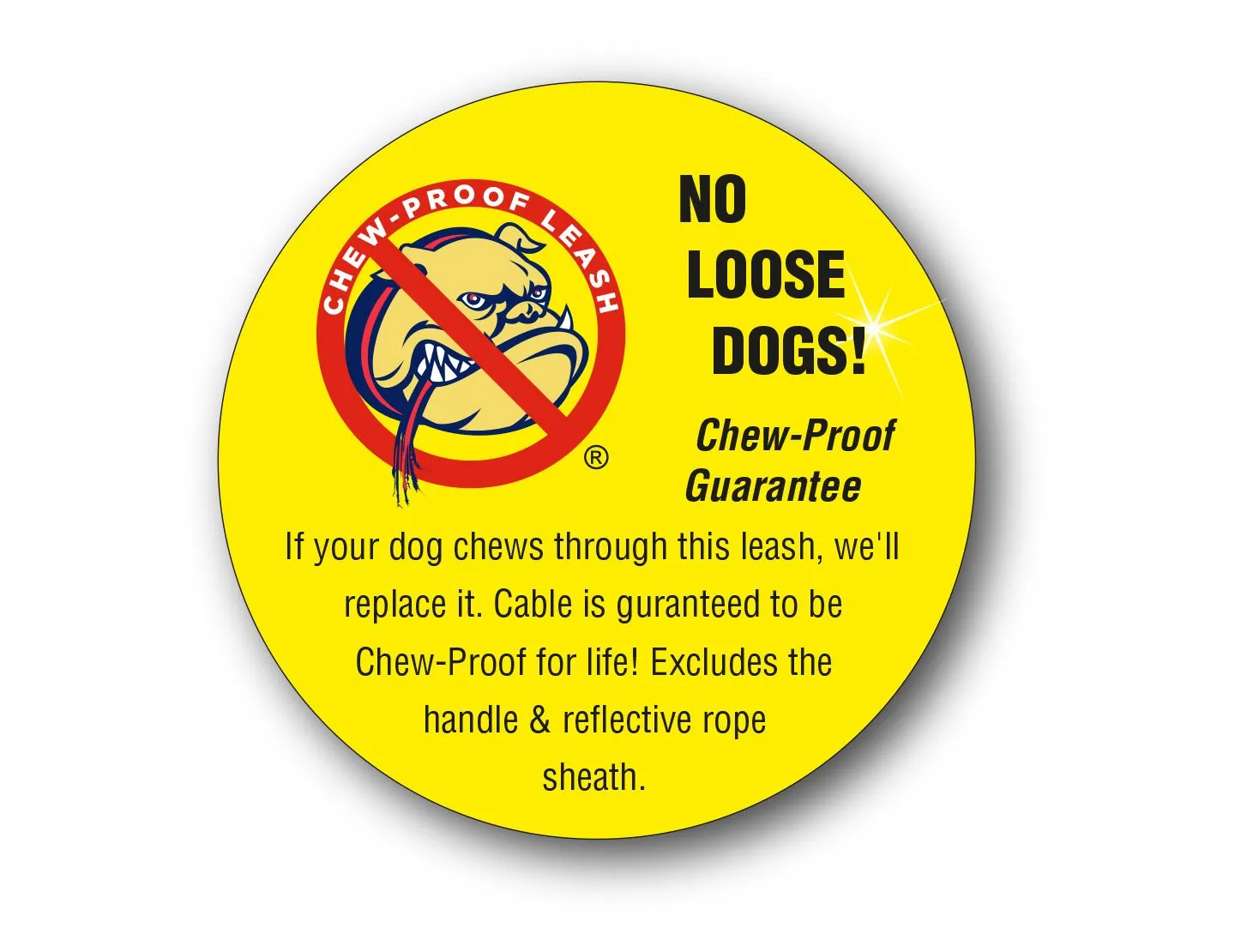 CHEW-PROOF® LEASH-HEAVY DUTY