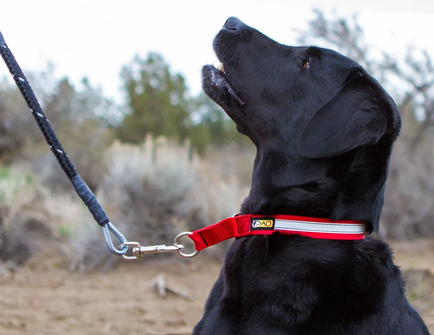 CHEW-PROOF® LEASH-HEAVY DUTY