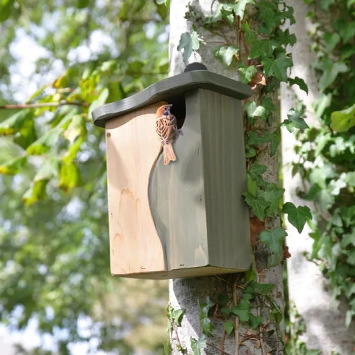 Curve Cavity Bird Nest Box