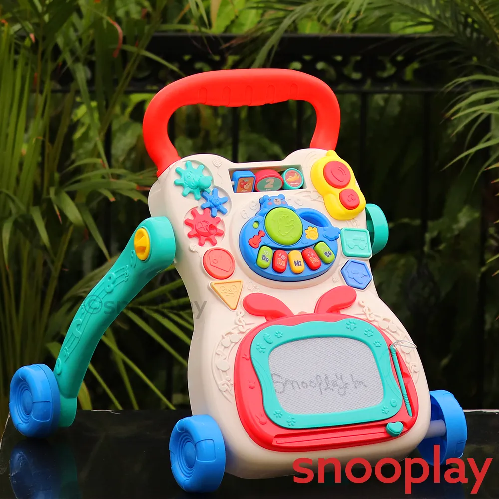 Electronic Multi Functional Activity Walker