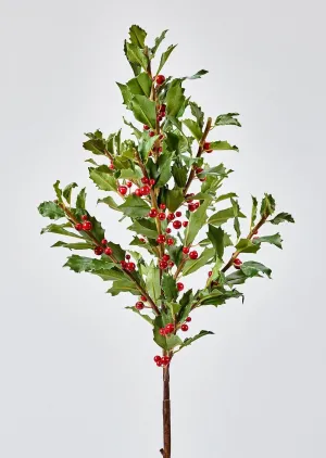 Faux Holly Branch - 36"