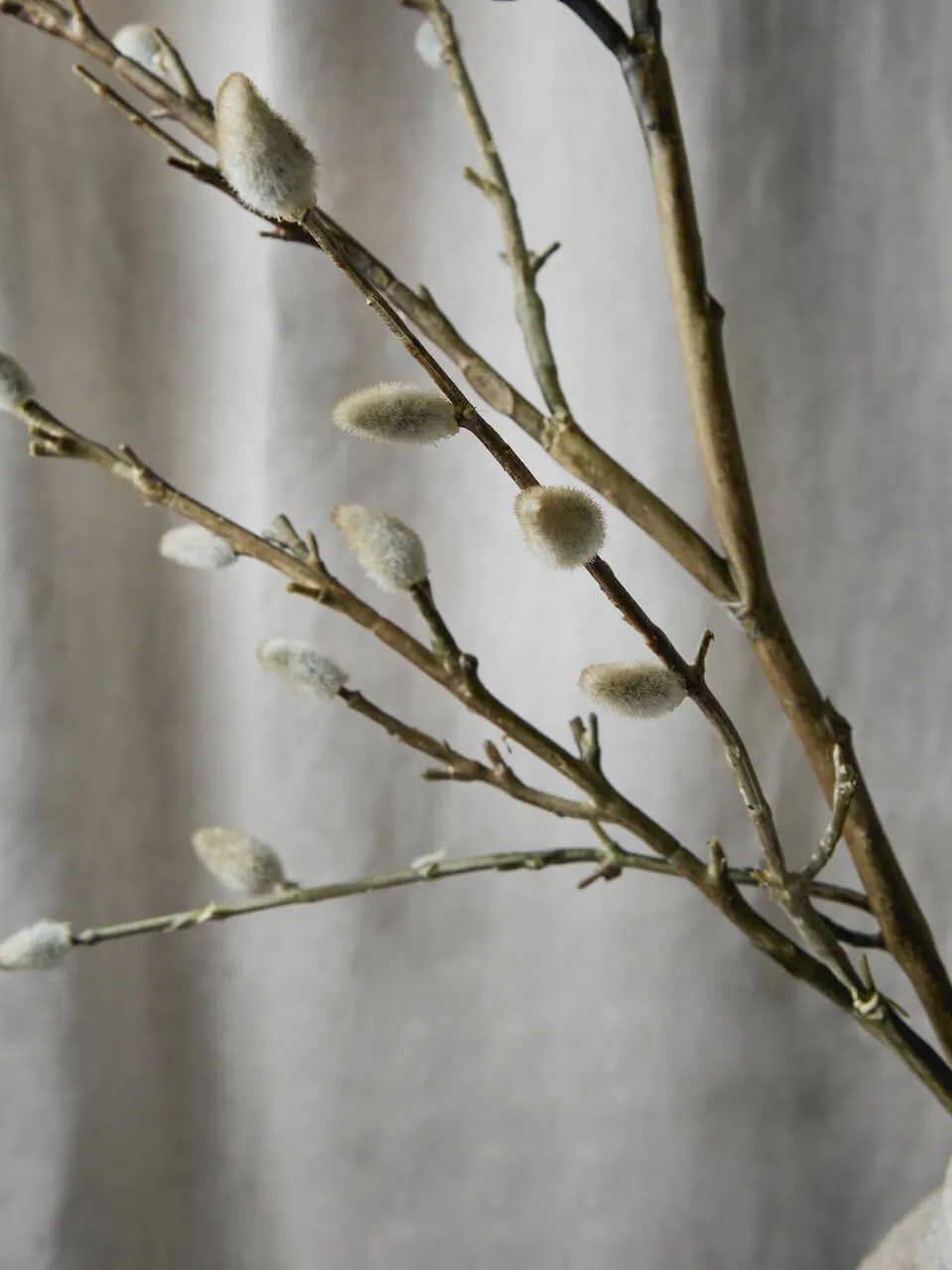 Faux Pussy Willow Branch