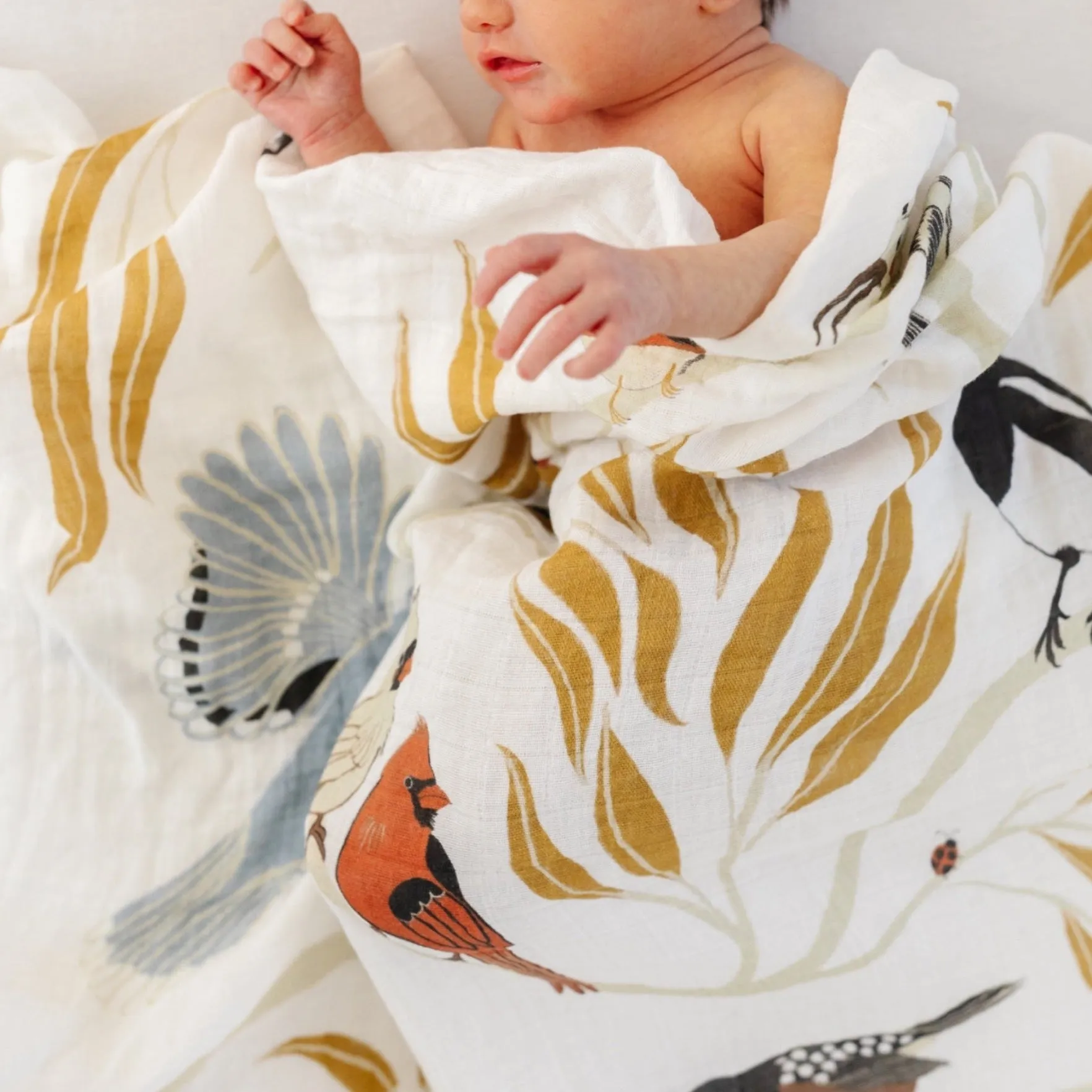 For the Birds Swaddle Blanket