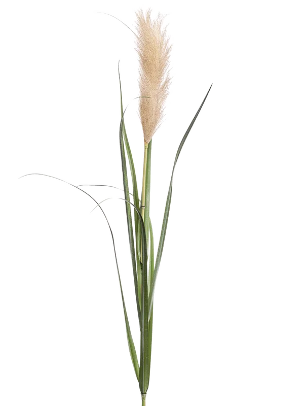 Grass Pampas Artificial Plant Premium Faux 120cm Height