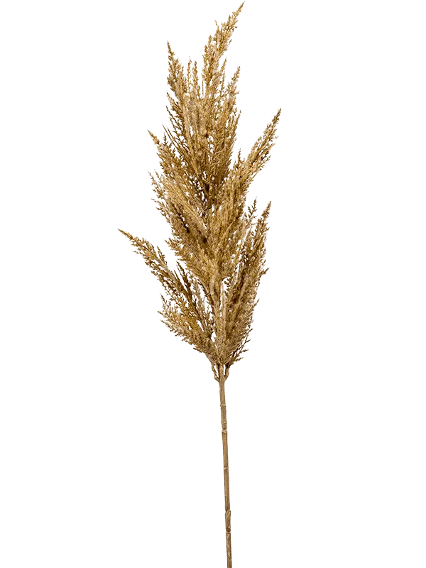 Grass Pampas Artificial Plant Premium Faux 92cm Height