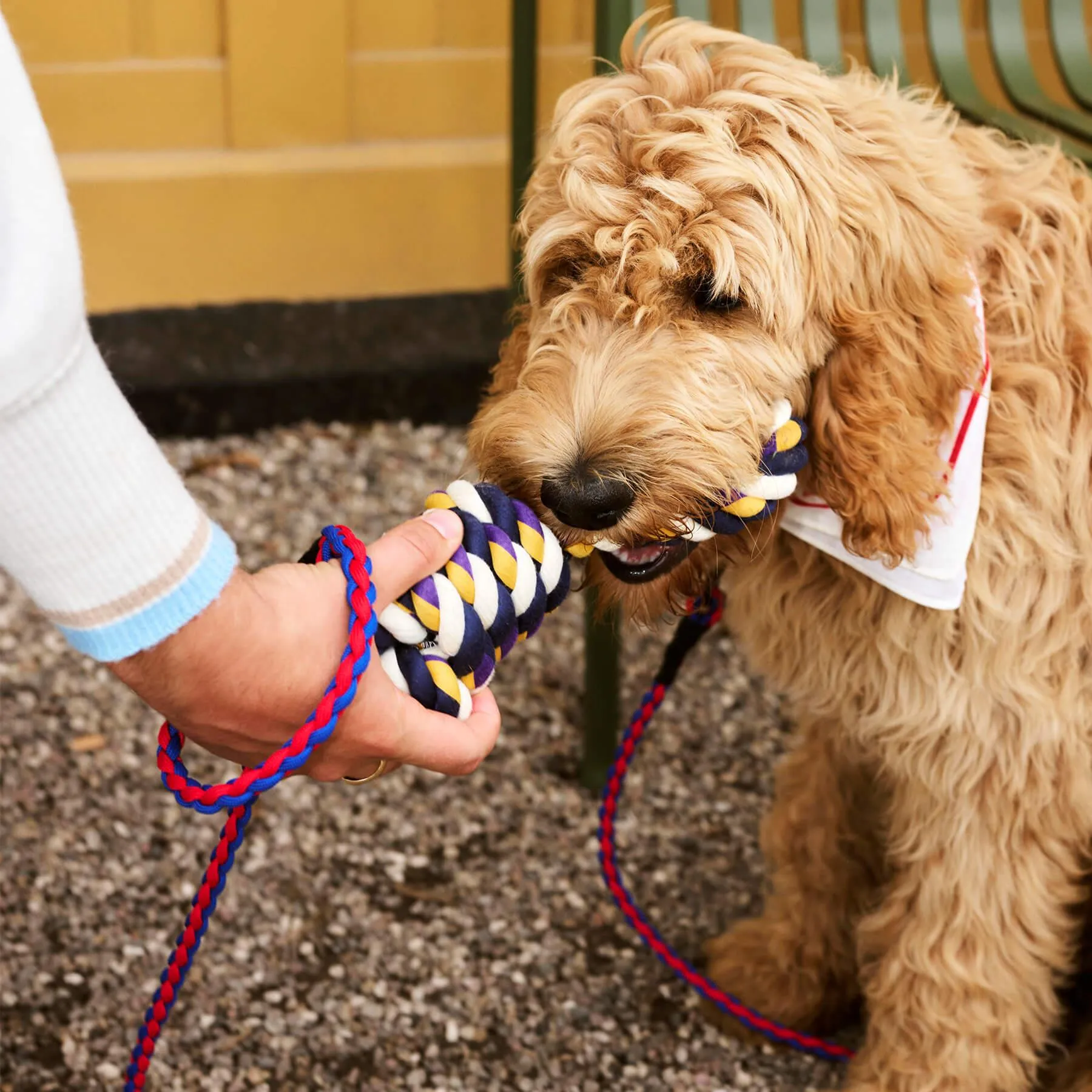 HAY Dog Rope Toy