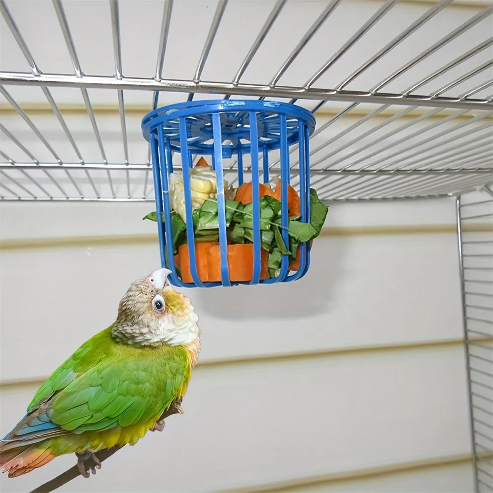 Innovative Bird Feeder For Fruits Vegetables and Treats