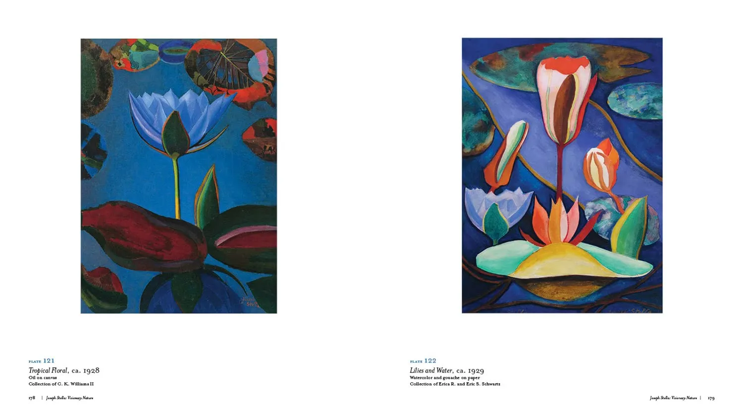 Joseph Stella: Visionary Nature