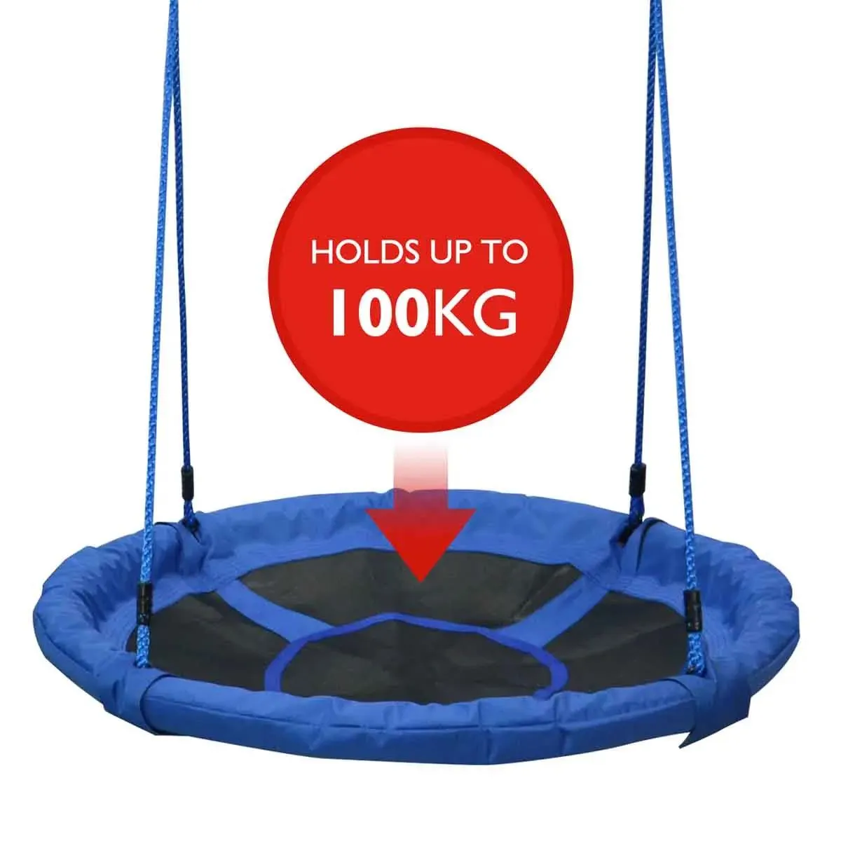 Large Nest Swing for 2 kids