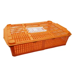 LCS Plastic Quail Crate