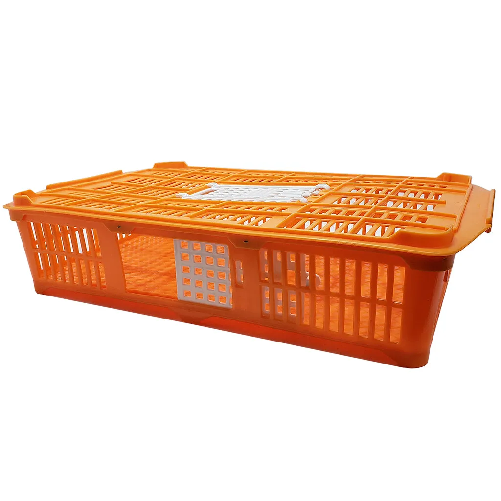 LCS Plastic Quail Crate