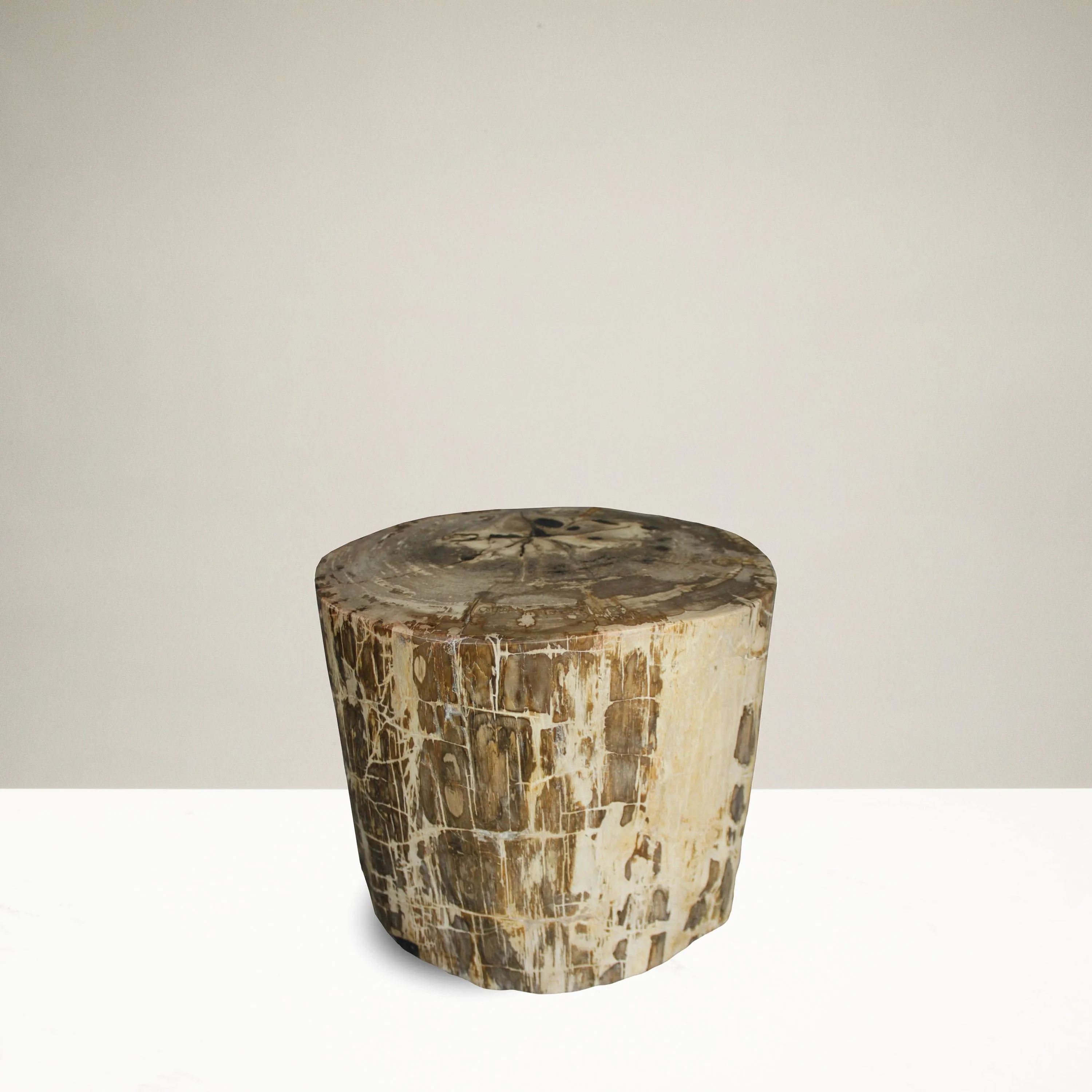 Petrified Wood Round Stump / Stool from Indonesia - 16 / 266 lbs