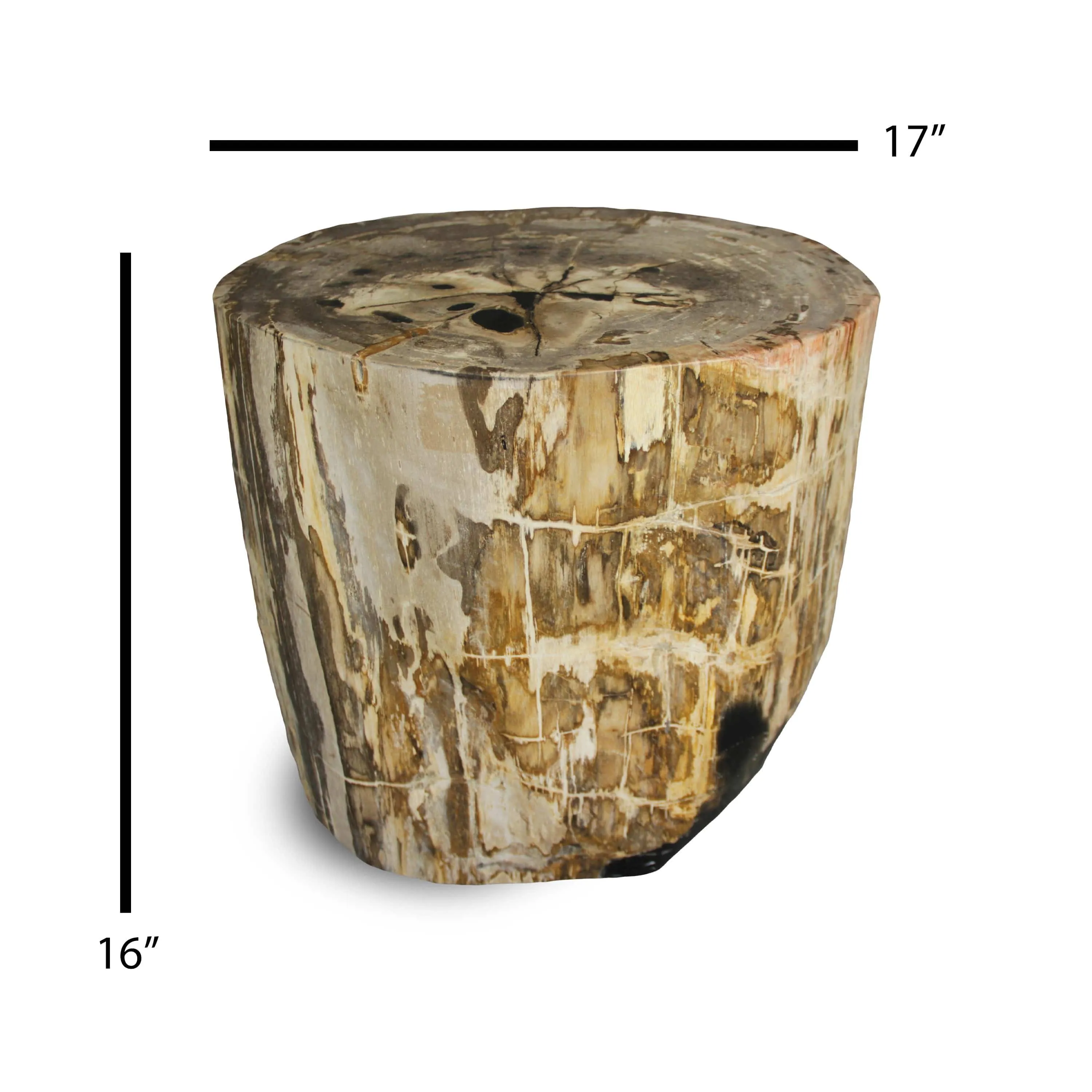 Petrified Wood Round Stump / Stool from Indonesia - 16 / 266 lbs