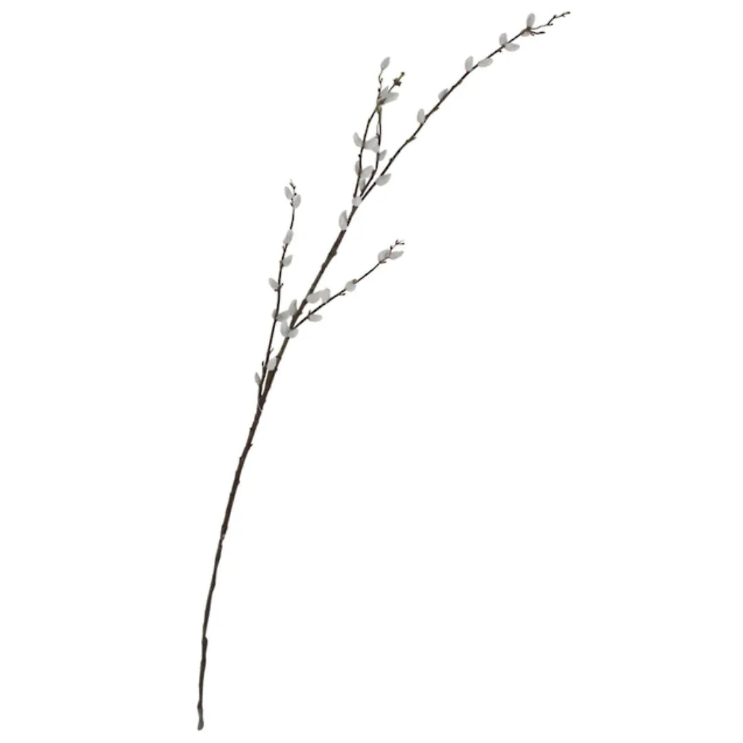 Pussy Willow Branch - 1.16m