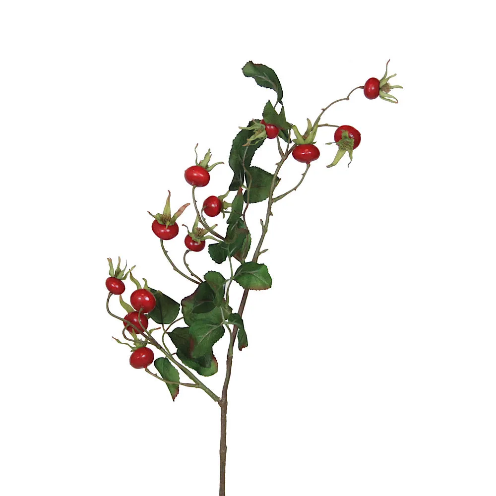 Rosehip Branch