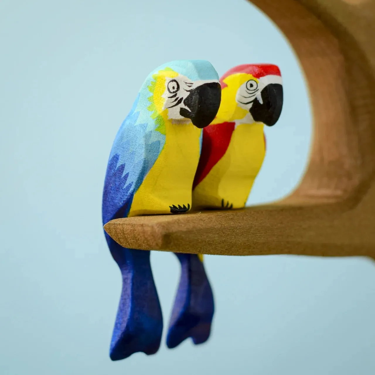 Wooden Amazonian Parrot